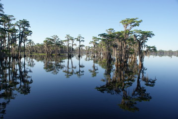 Banks Lake in Georgia © Ann