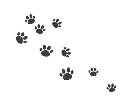 Paw background template