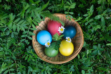 Osternest mit bunten Eiern in der Wiese, colourful easter eggs