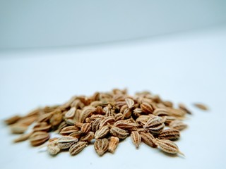Carom seed on white backgroud