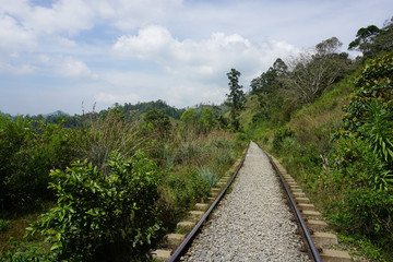 Fototapeta na wymiar Train tracks in Sri Lanka near Ella