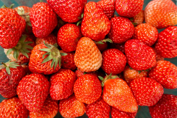 Red Strawberry background