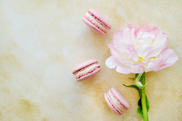 Feminine composition with traditional french macarons sweets and tender bicolor tulip flowers on yellow concrete textured background. Top view, close up, copy space.