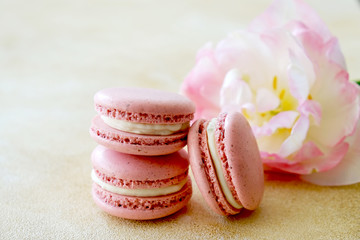 Feminine composition with traditional french macarons sweets and tender bicolor tulip flowers on yellow concrete textured background. Top view, close up, copy space.