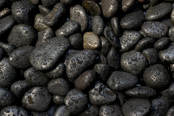 Black stones with water droplets, abstract background spa.