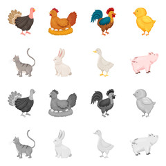 Vector illustration of breeding and kitchen  symbol. Collection of breeding and organic  stock symbol for web.