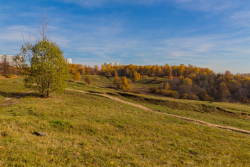 Naklejka premium Landscape view in the park