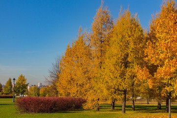 Moscow, Russia - October 16, 2018: Autumn landscape in Tsaritsyno park