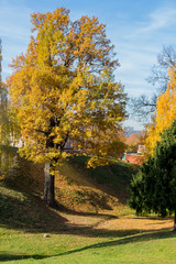 Naklejka premium MOSCOW, RUSSIA - October 16, 2018: Landscape view near the Bread House (Kitchen Quarters) in Tsaritsyno.