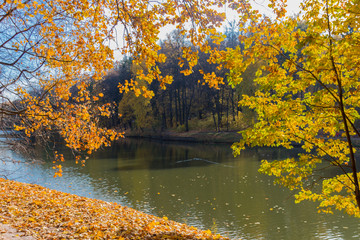 Obraz na płótnie Canvas Scenic view to the autumn park and pond