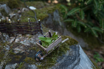 Fototapete bei efototapeten.de bestellen   