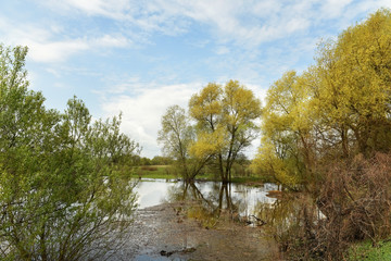 Spring spill on the river. Delicate colors of spring greens. spring landscape of the river.