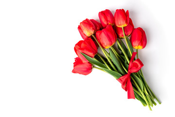 Red tulips isolated on white background.