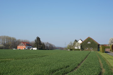 Felder,field,agricultur,Bauern,farm,grass