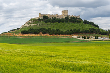 Fototapeta na wymiar Peñafiel Castle, Valladolid Province, Spain