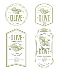 Olive oil badge label design set. Vector hand drawn illustration of olive branches in engraving technique. Vintage templates for olive oil packaging. 