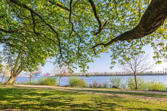 Park und Wanderweg an der Elbe in Hamburg