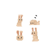 Pixel cute brown rabbit set.8bit.