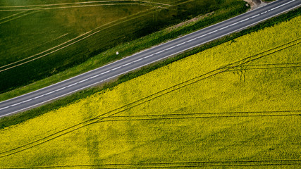 Road of rape © Piotr