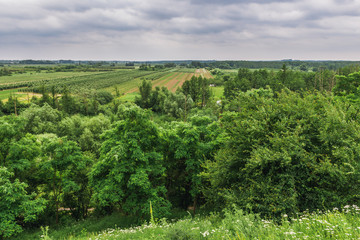 Fototapeta na wymiar Rural landscape seen from tower of castle ruins in Czersk, Masovia region in Poland