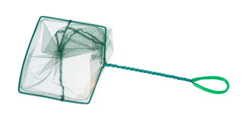 colander isolated on white background. green colander,with clipping