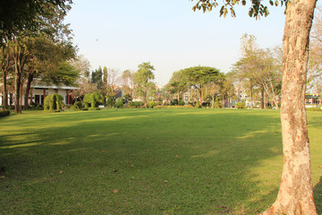 a park in suphan buri (Thailand)