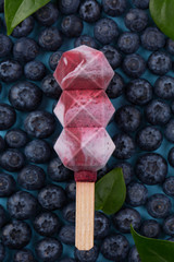 popsicle. molecular kitchen. ice cream on a stick on blueberry background. ice cream made with...