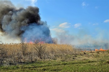 Fototapeta na wymiar fire on the field with black smoke