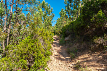 Hiking trail to the Pic du Cap Roux near Antheor