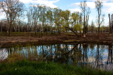 a small mirror lake surrounded by trees without leaves and a blue sky with clouds floating on it