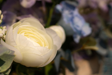 Bouquet of  beautiful flowers