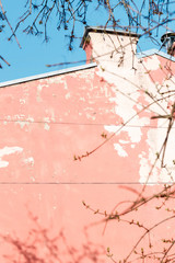 Pink textured concrete wall with tree branches pattern.