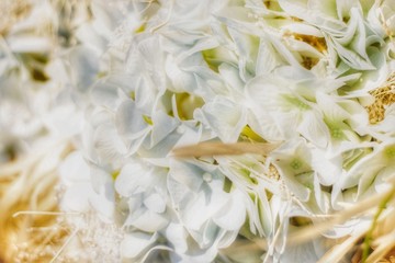 Background for wedding decoration