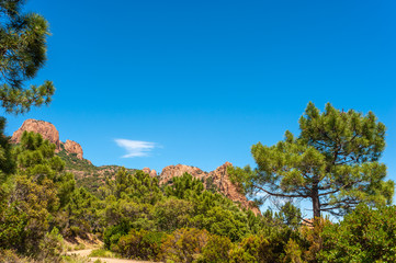 Mountain landscape in the Massif de l'Ésterel near Antheor