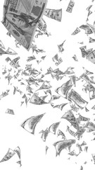 Flying dollars banknotes isolated on white background. Money is flying in the air. 100 US banknotes new sample. Black and white style. 3D illustration