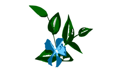 blue flower with green leaf