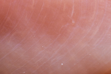 Fototapeta premium Chicken meat extreme macro background
