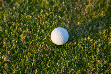 Golf Concept Close Up Capture from Golf Ball in Grass at Sunset