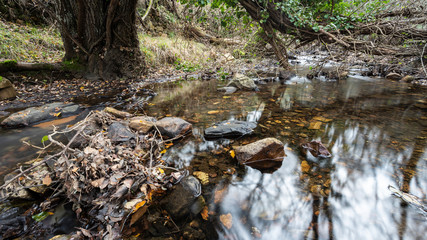creek in extremadura, spain