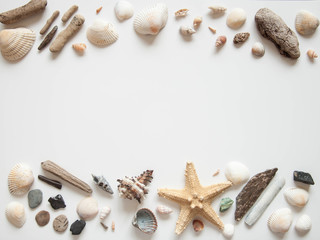 White light background with seashells and sea stars for the site frame for text. Journey to the sea is a memory.