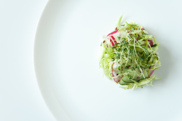 Fresh vegetable salad on a white plate. Beautiful serving dishes. Dietary nutrition. Vegan food. Microgreen, flax seeds in food. White background.
