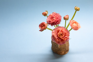 cute bouquet of gentle rose ranunculuses on a blue background