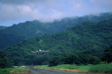 buschflieger in costa rica