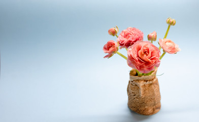 cute bouquet of gentle rose ranunculuses on a blue background