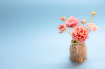 cute bouquet of gentle rose ranunculuses on a blue background