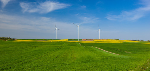 Turbiny wiatrowe na polu z rzepakiem © Grzej
