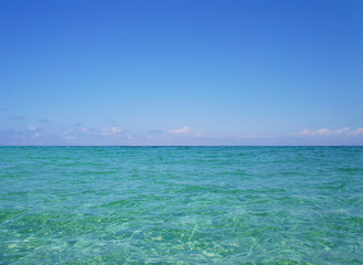 Transparent clean sunny ocean sea water waves for background and texture.
