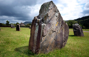 Standing Stone in field 2