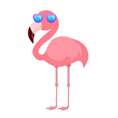Summer flamingo with glasses vector illustration