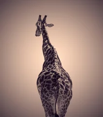 Gordijnen Grafische giraf op abstracte achtergrond. © maramade